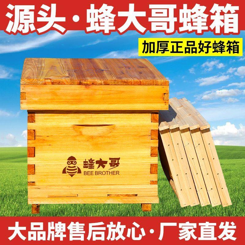 蜂大哥蜂箱七框十框中蜂