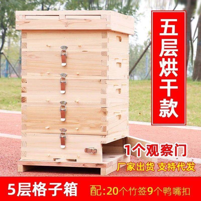 格子蜂箱中蜂专用土养箱