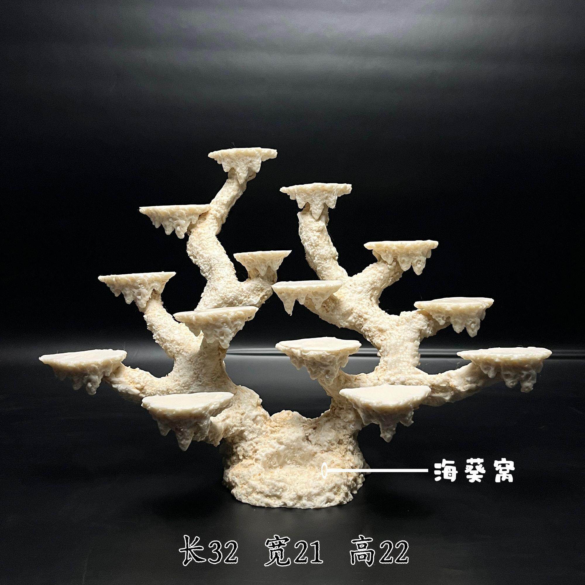海缸造景石海水珊瑚鱼爪
