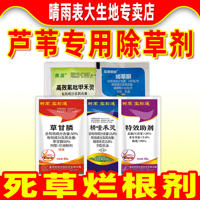 芦苇专用除草剂烂根剂正品除草剂