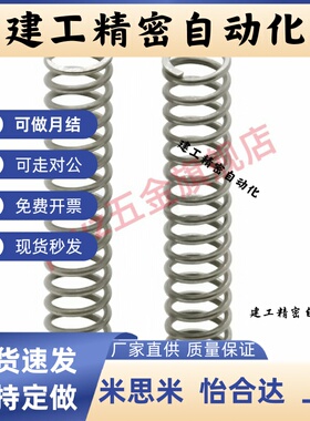 WT8/10/13-L10/15/20/25/30/35/40/45/50/55/60/65/70/80压缩弹簧