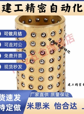 BGS/SSBPS3 4 5 6 8 10 12-10 15 20 30 40 50 滚珠套衬套滑套