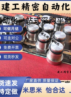 直线导轨用定位销LLT/LLTS/LLTA偏心销ICE11/12/31-T