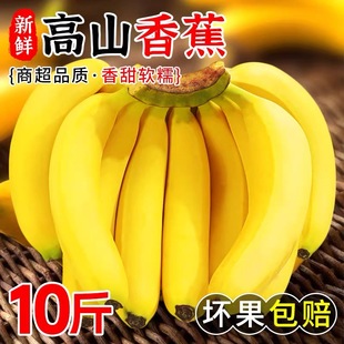 [催熟食用]正宗广西高山甜香蕉威尼斯绿皮软糯香甜自然熟新鲜水果