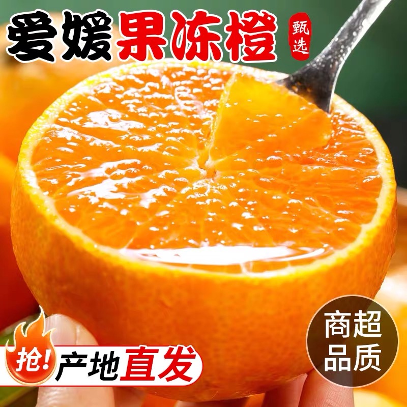 正宗四川爱媛38号果冻橙水果新鲜应当季橙手剥子整箱眉山柑橘现摘