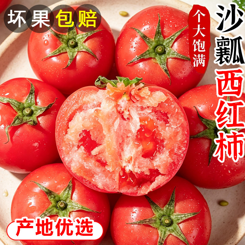 四川攀枝花西红柿水果新鲜自然熟生吃沙瓤番茄应当季现摘整箱10