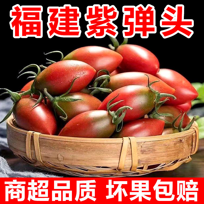 现摘紫色迷彩小番茄圣女果新鲜小西红柿子铁皮生吃水果蔬菜5斤,水产肉类/新鲜蔬果/熟食,番茄,淘宝优惠券,粉丝福利购,淘宝优惠卷