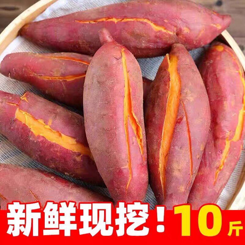新鲜蜜薯红薯现挖板栗烤地瓜糖心番薯沙地农家自种山芋小香薯10
