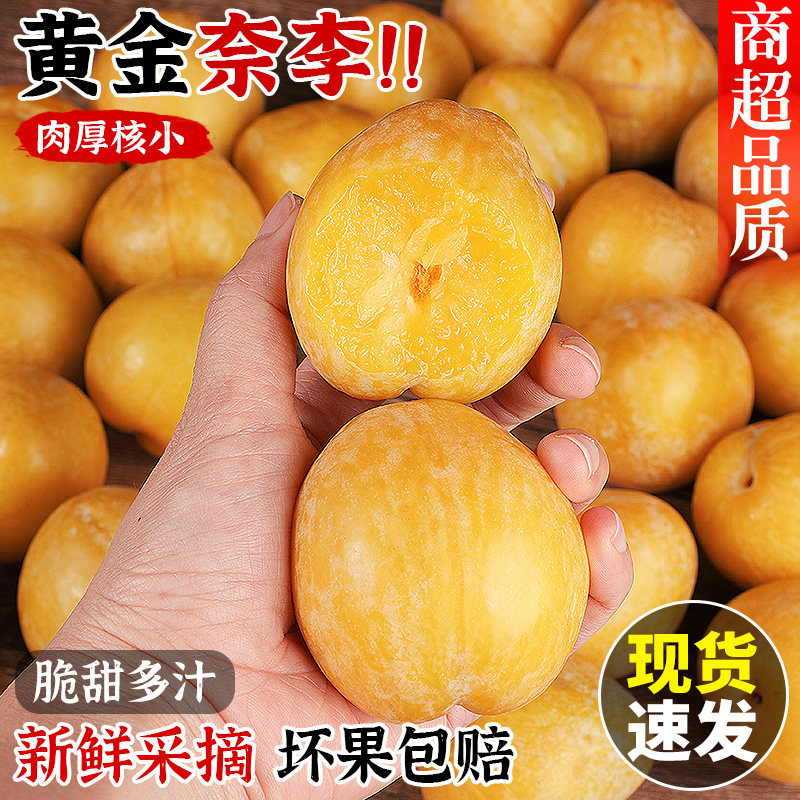 正宗黄金奈李恐龙蛋汝城文明新鲜水果脆李子九峰蜂糖李5斤
