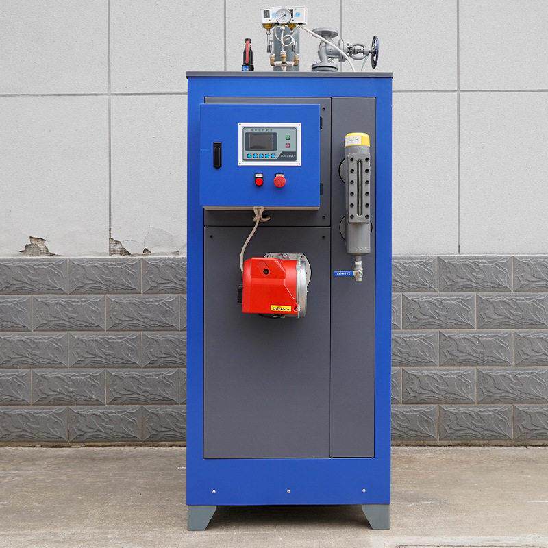 燃油燃气蒸汽发生器液化气蒸汽锅炉柴油蒸汽机食品加工混凝土养护