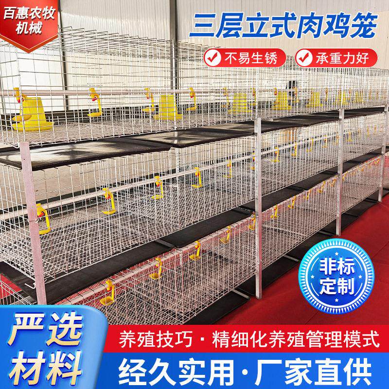 加粗肉鸡笼养殖专用笼三层立体式肉鸡笼家用鸡笼子公鸡笼鸡舍养殖