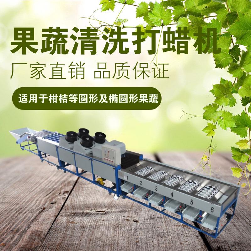 水果打蜡清洗流水线柑桔脐橙打蜡分级机保鲜设备分选机