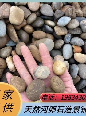 江苏天然河卵石变电站用鹅卵石鹅卵石滤料河滩石园林绿化用河卵石
