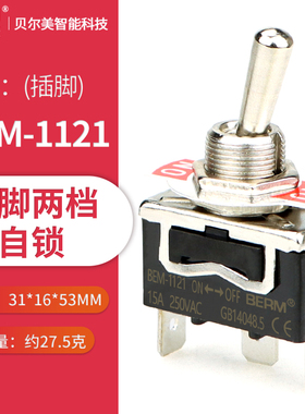 E-TEN1322/1321/1021/1121/C1122/1221 拨动开关 摇臂开关钮子开