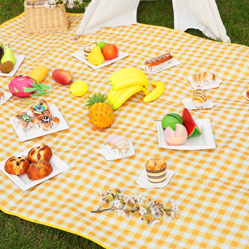 野餐垫春游防潮垫野餐用品出游网红野餐布户外便携防水垫子郊游,节庆用品/礼品,节日装扮用品,淘宝优惠券,粉丝福利购,淘宝优惠卷