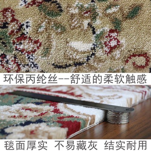 美式过道地毯走廊家用满铺长方形卧室大门入户房间小阳台欧式地垫