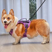 柯基犬牵引绳背心式 防爆冲宠物狗胸背带中大型犬金毛边牧遛狗绳子