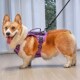 柯基犬牵引绳背心式 防爆冲宠物狗胸背带中大型犬金毛边牧遛狗绳子