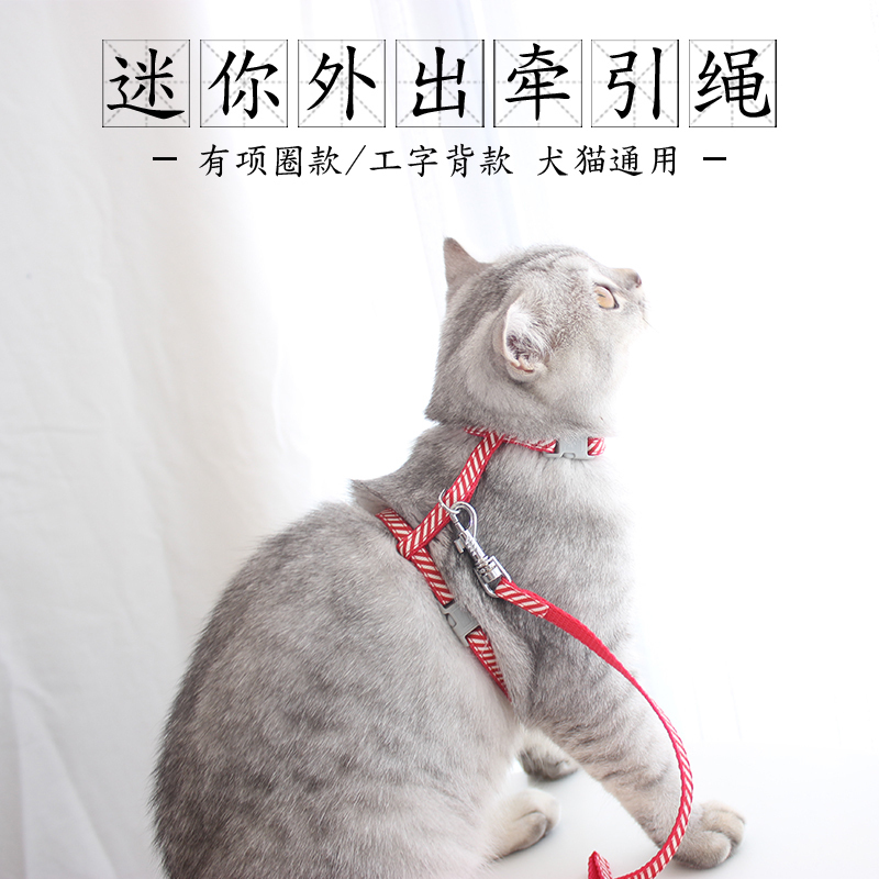 狗狗幼猫咪幼犬牵引绳套脖铃铛牵引绳小型玩具茶杯犬迷你遛狗猫绳