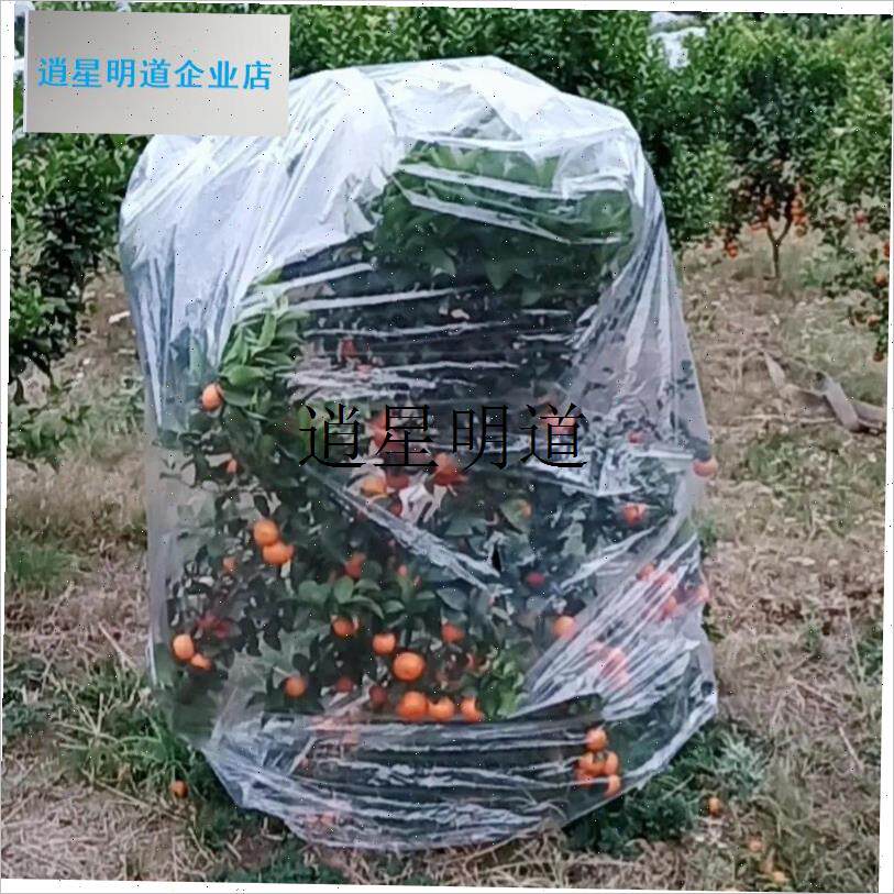 l室外花卉保暖罩植物保温袋香蕉套袋薄膜树木果R树防寒罩防冻塑料