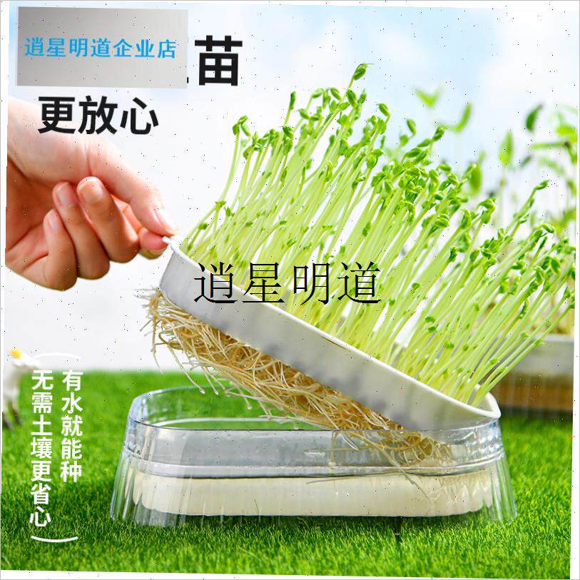 l豆芽发芽盆水培蔬菜豌豆苗v种植架无土栽培托猫草芽苗菜育苗盘托
