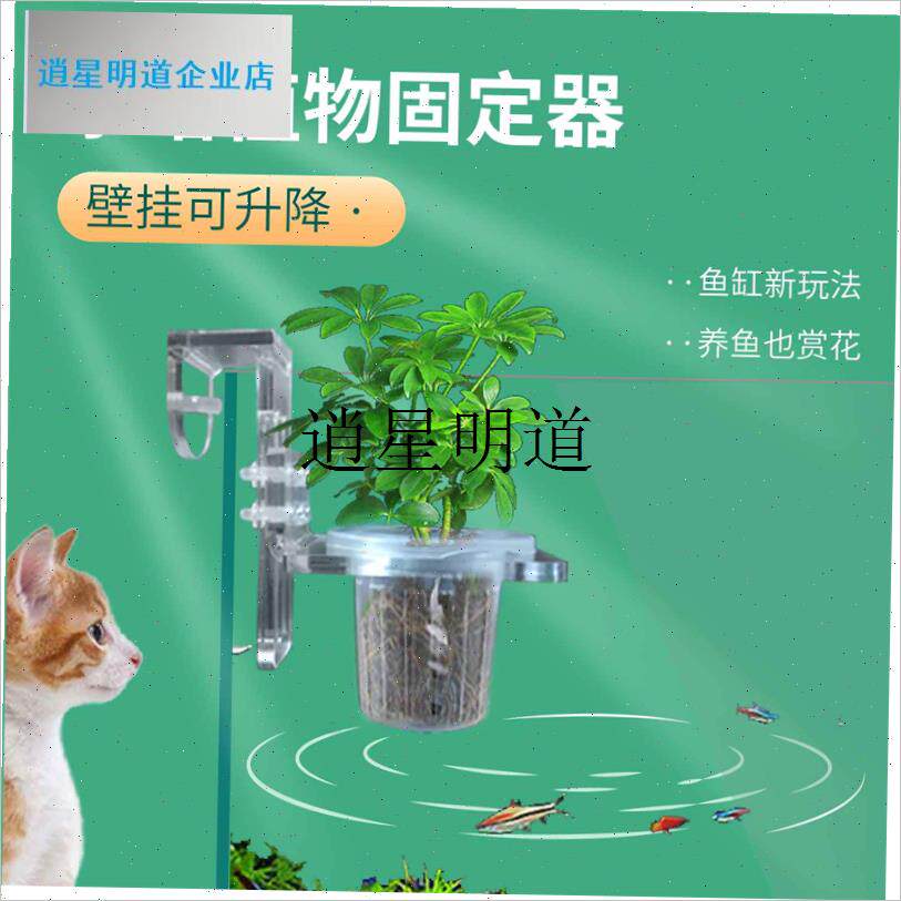 l鱼缸水培植物挂式伸缩定植篮x绿萝铜钱草水生植物红薯苗培育固定