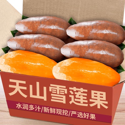 天山雪莲果！商超精选！产地直发