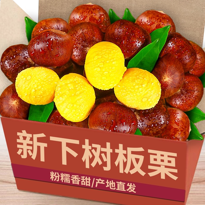新鲜丹东板栗|单箱9斤|栗香浓郁
