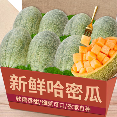 [超值特卖]哈密瓜产地现发超新鲜