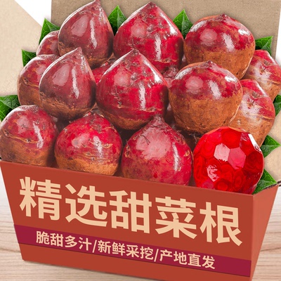 新鲜甜菜根|新鲜直发|产地直发