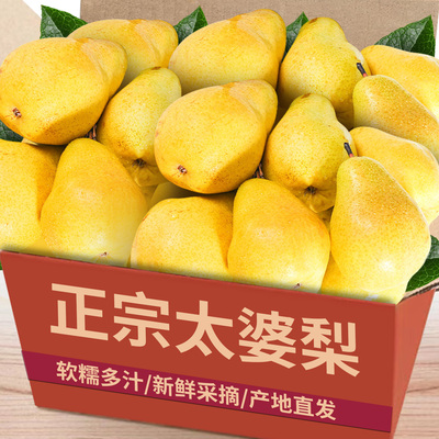 精选【太婆梨】老农精选|产地发