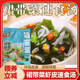 天承裙带菜虾皮汤包冲泡即食小包煮面 麪汤料调味包裙带菜虾皮即