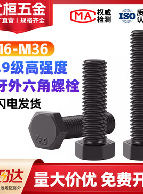 12.9级加长全牙外六角螺丝全螺纹螺栓螺杆M10M12M14M18M16M20M24