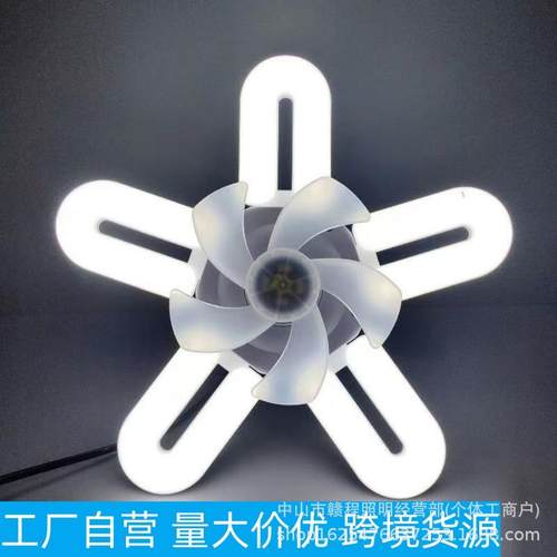 跨境新款风扇灯卧室客厅卫生间多功能灯超吊扇灯亮节能独特设计灯