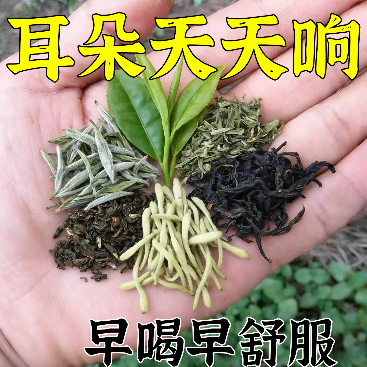 耳背耳睡不着神经耳正品老年听力下降耳耳朵天天响茶,传统滋补营养品,养生茶,淘宝优惠券,粉丝福利购,淘宝优惠卷