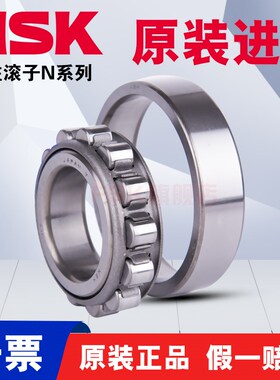 日本NSK进口 N203 204 205 206 207 208 209 EW M C3圆柱滚子轴承