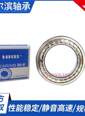 哈尔滨轴承RN224 226 228 230 232E EM