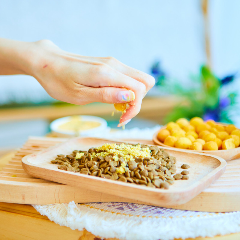 冻干猫零食鹌鹑蛋黄幼猫咪营养增肥发腮宠物美毛护肤拌粮卵磷脂,宠物/宠物食品及用品,猫冻干零食,淘宝优惠券,粉丝福利购,淘宝优惠卷