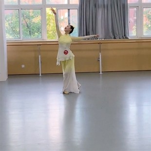 新款古典舞蹈服女飘逸良宵剧目服古风胶州秧歌舞演出服装艺考定制