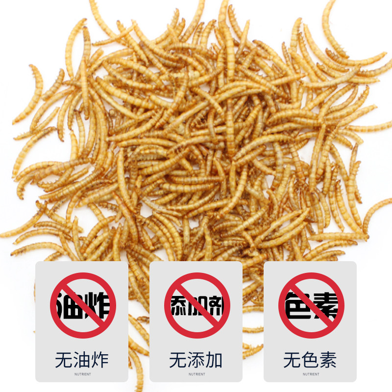 龙鱼饲料金龙鱼银龙鱼饲料上浮型鱼食大麦虫面包虫干金鱼饲料龟粮