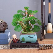 花盆底座茶具奇石盆景兰花摆件底座复古阳台室内塑料防水花盆托盘