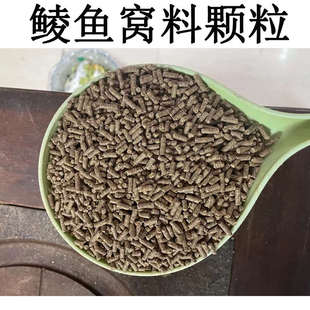 鲮鱼窝料通威颗粒料底料打窝鲮鱼养殖原塘3号散炮打粉鱼饵饵料