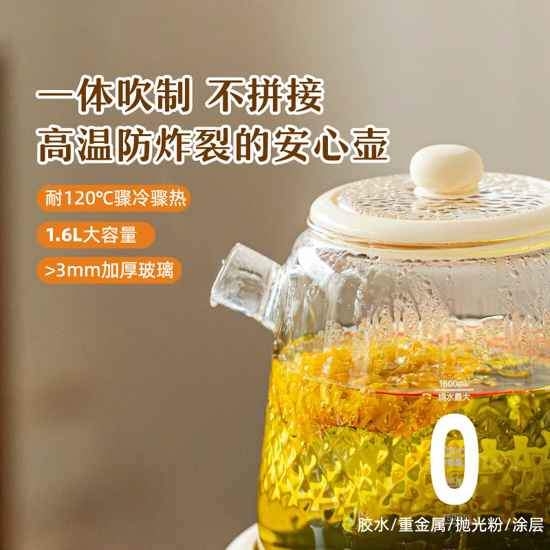 树可知心养生壶炖煮一体2026烧水热水办公室高颜值煮茶壶纯全玻璃图片