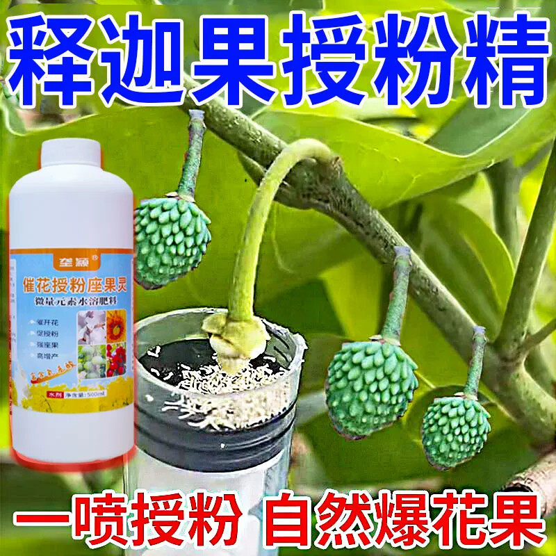 释迦果座果王授粉座果精释迦果授粉药催花授粉素保花保果素免沾花