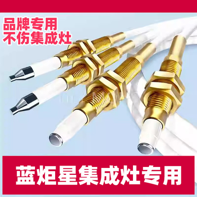 适用蓝炬星集成灶点火针感应针热电偶帅丰集成灶通用配件然气液化
