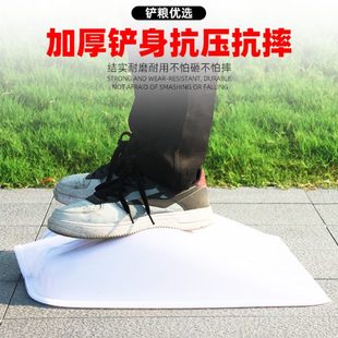 粮大钢化锨食粮铲清粪铲茶叶透明锨塑料雪塑料锹铲屯塑料铲铲子
