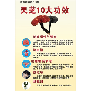 灵芝养生海报展板中国传统养生文化养生之道灵芝的成分墙贴纸灵芝