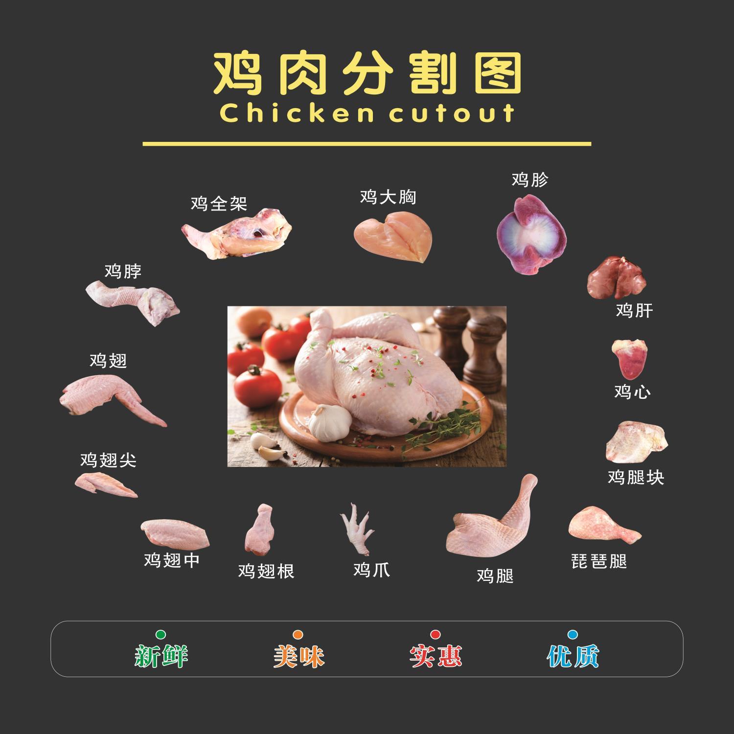 家禽鸡的结构图解剖图内外部形状图海报定制贴纸挂图展板装饰画