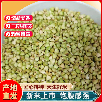 五斤装内蒙古颗粒饱满荞麦米