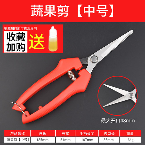 家用剪刀树枝剪手工小型花枝剪果树修枝剪刀园艺省力修花枝剪家用